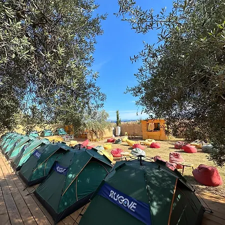 Alt Camping *