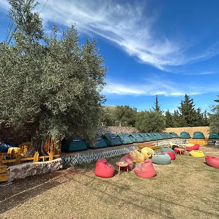 Alt Camping Campingplatz